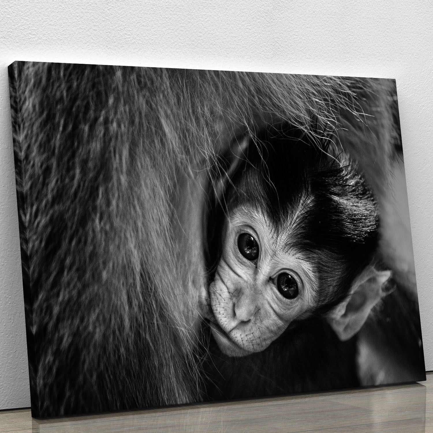 A Mothers Love Canvas Print or Poster - 1x - 1