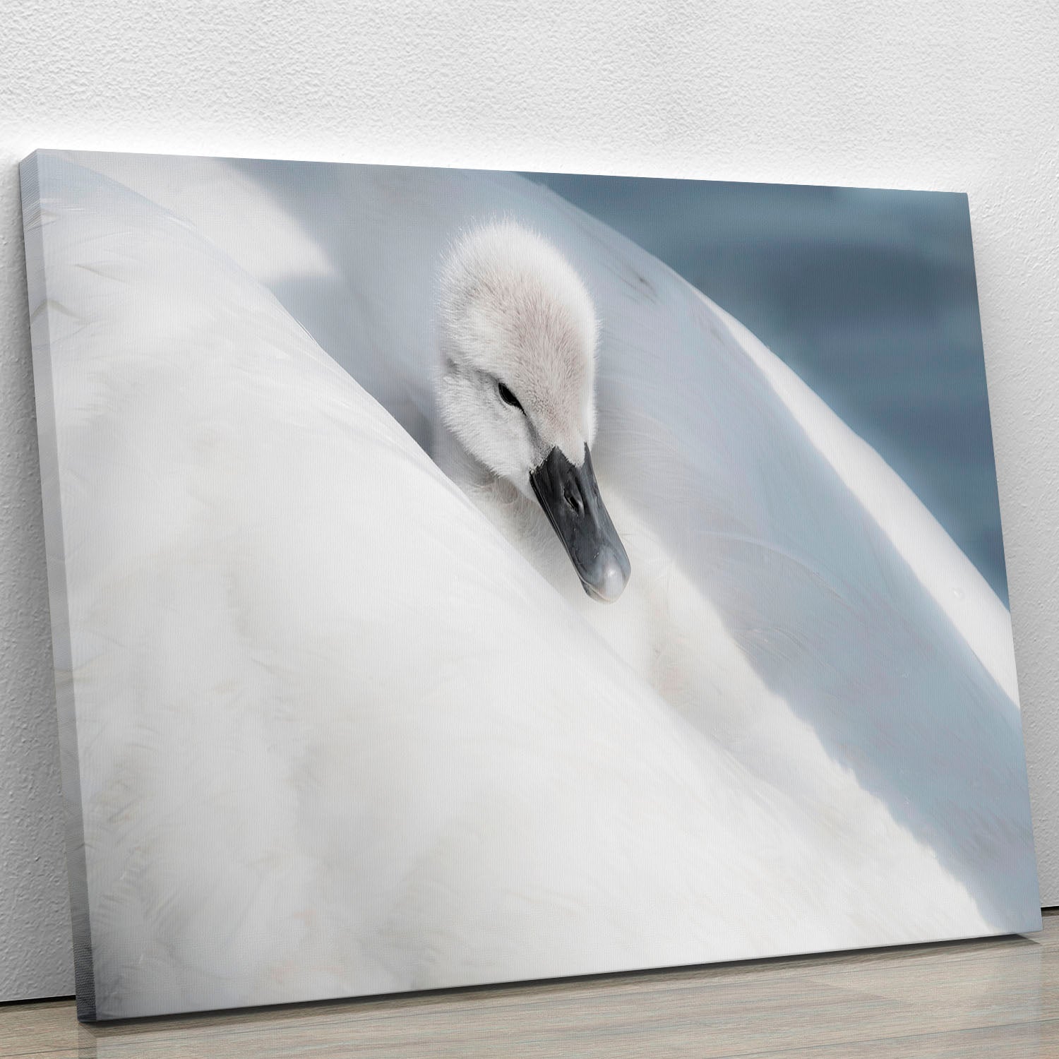 A dress that is too big Canvas Print or Poster - 1x - 1