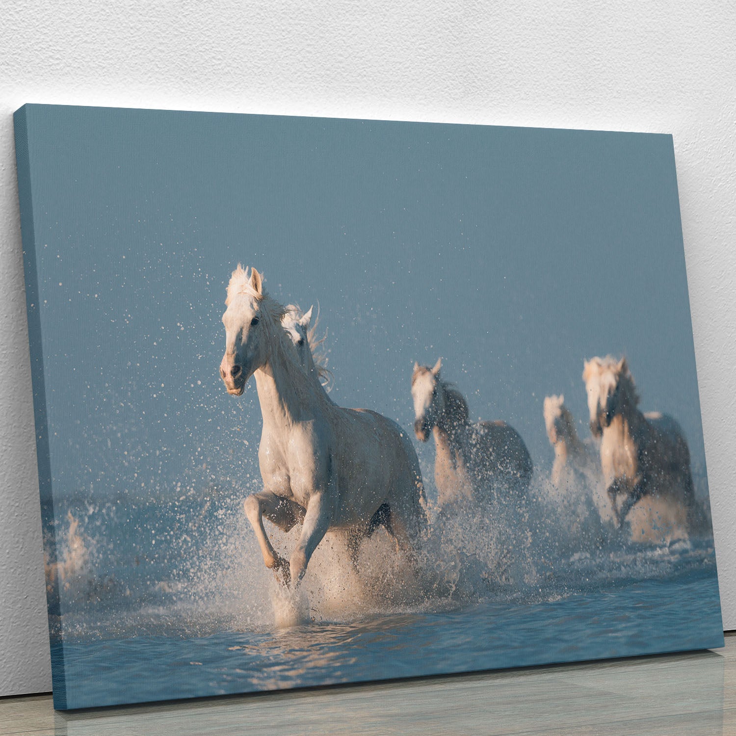 Angels of Camargue Canvas Print or Poster - 1x - 1