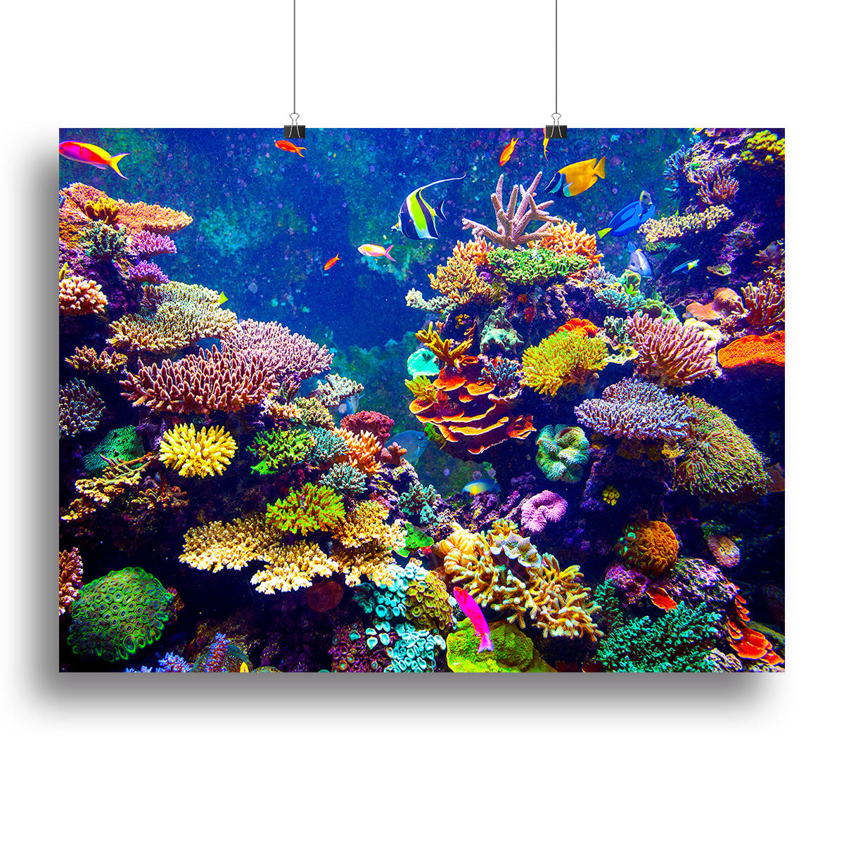 Coral Reef and Tropical Fish Poster - Unframed