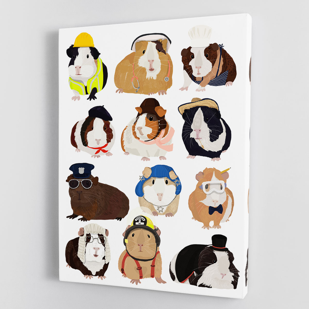 Guinea Pig Working Hr Canvas Print or Poster - 1x - 1