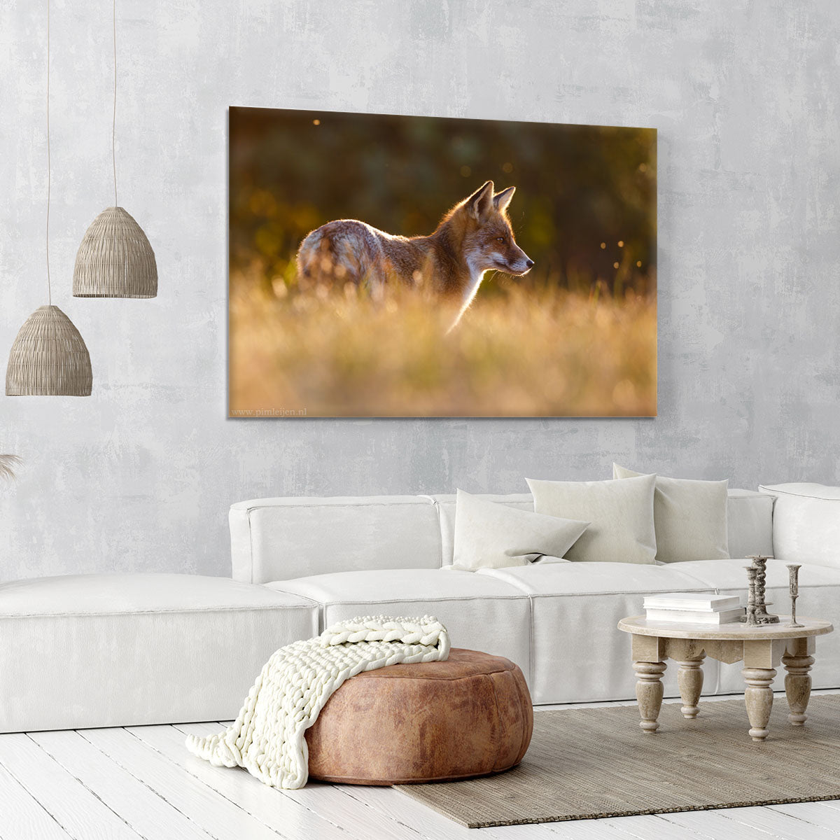 Last Light Fox Canvas Print or Poster - 1x - 6
