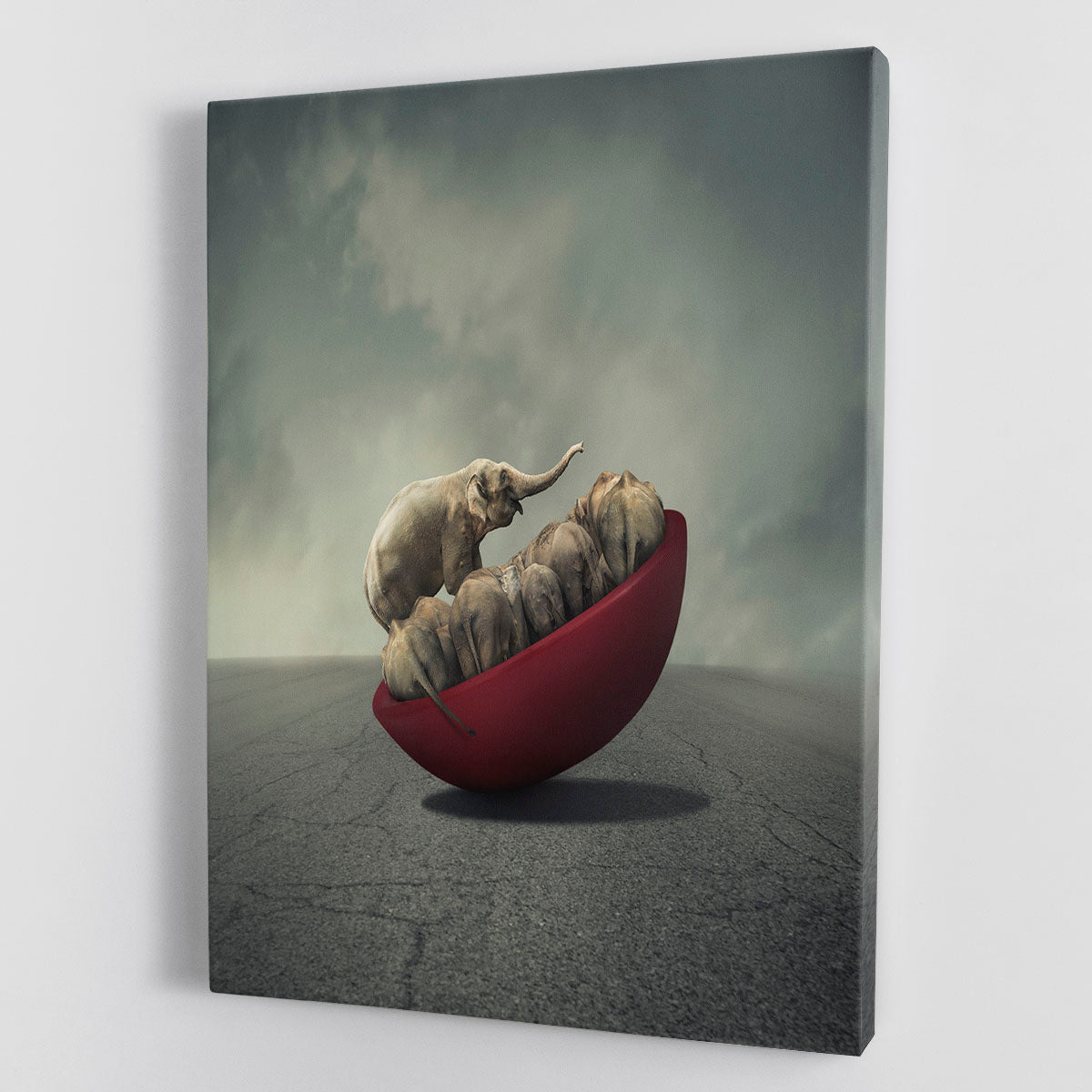 Life is a balance Canvas Print or Poster - 1x - 1