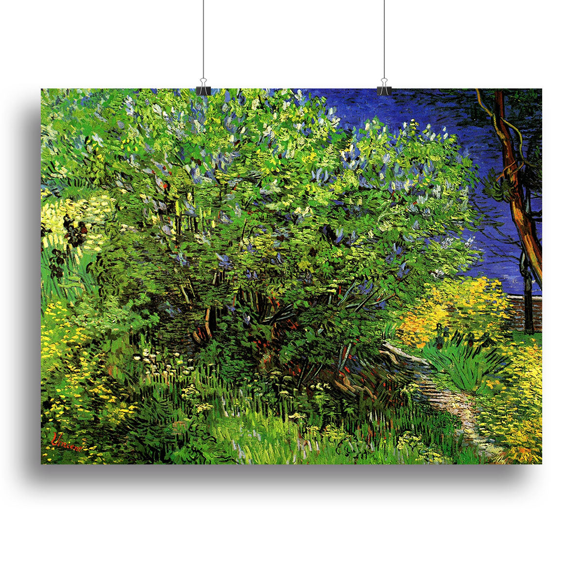 Lilacs by Van Gogh Poster - Unframed