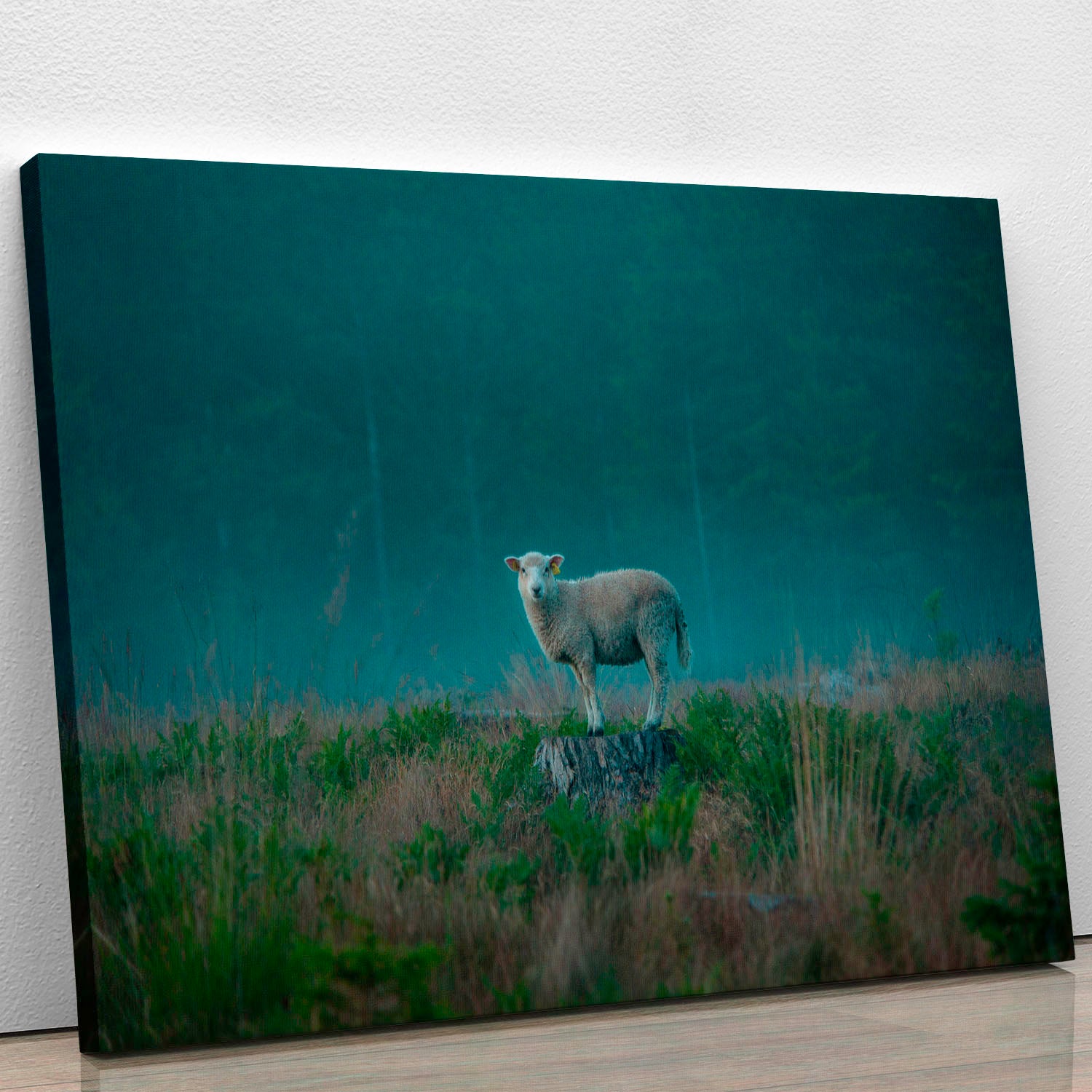 Moody sheep Canvas Print or Poster - 1x - 1