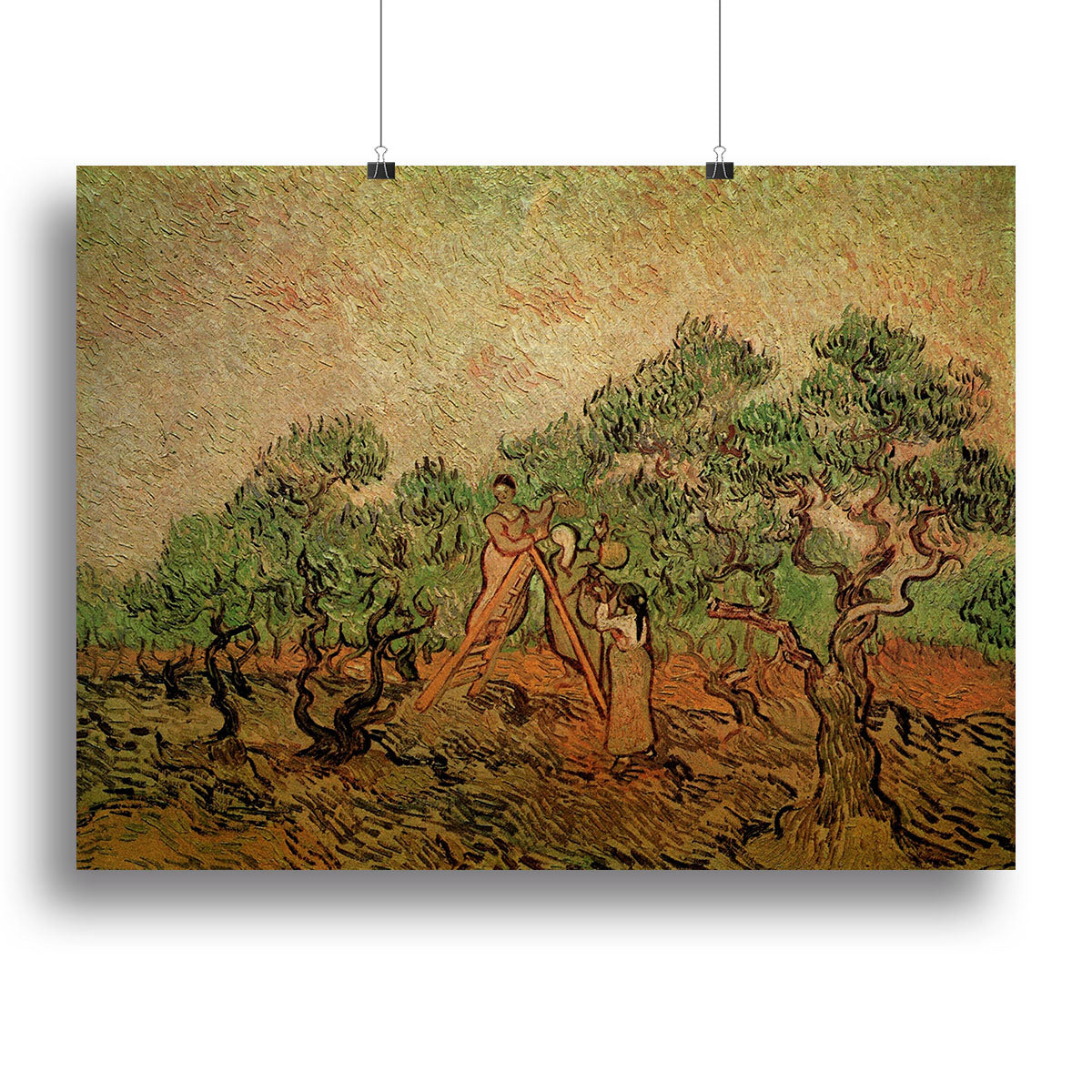 Olive Picking by Van Gogh Poster - Unframed