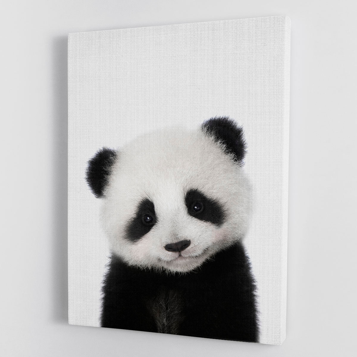 Peekaboo Baby Panda Canvas Print or Poster - 1x - 1
