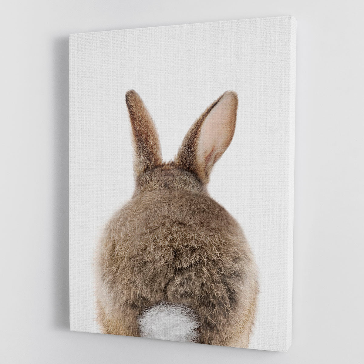 Peekaboo Bunny Tail Canvas Print or Poster - 1x - 1