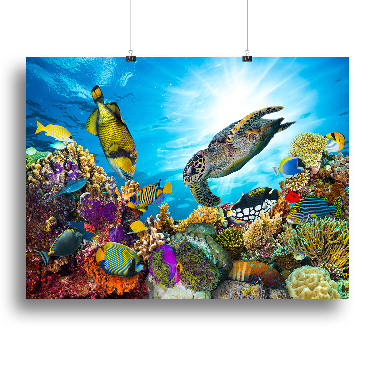 Reef with many fishes and sea turtle Poster - Unframed