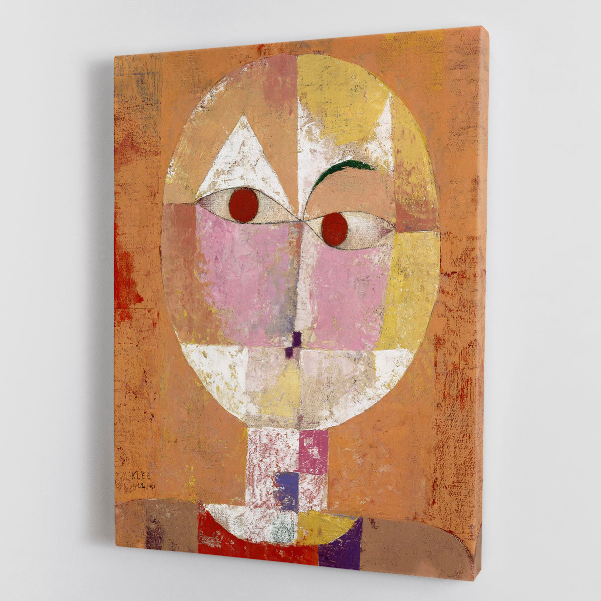 Senecio Baldgreis 1922 No.1 Canvas Print or Poster - Canvas Art Rocks - 1