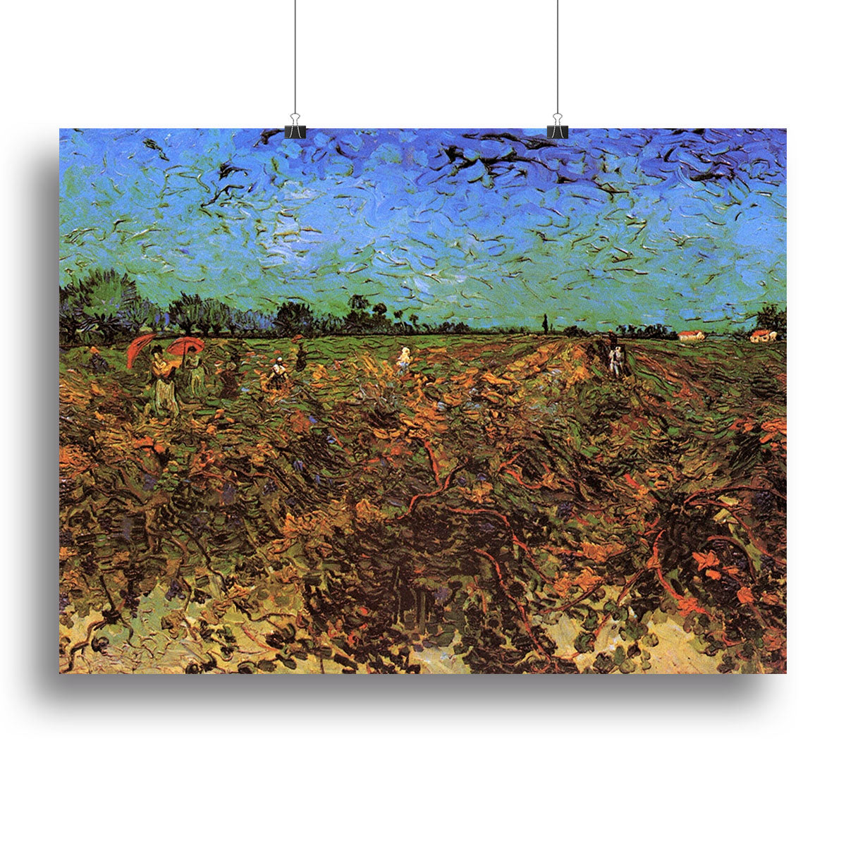 The Green Vineyard by Van Gogh Poster - Unframed