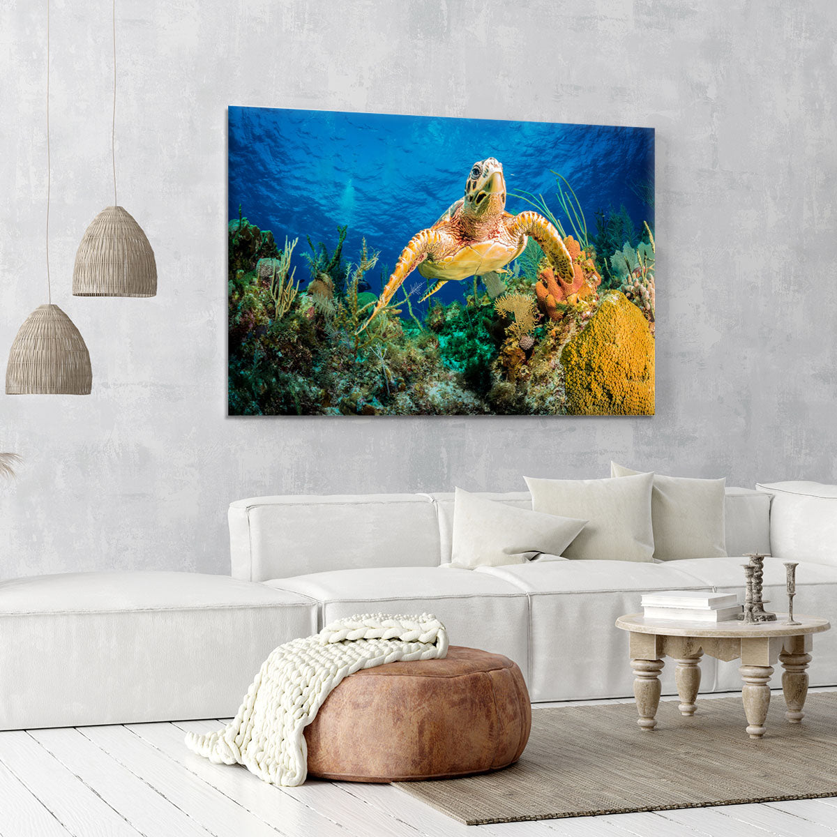 Hawksbill Turtle Swimming Through Caribbean Reef Canvas Print or Poster - Canvas Art Rocks - 6