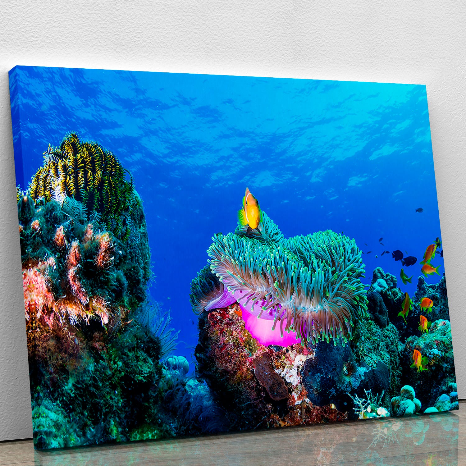 Sea Life Canvas Print or Poster - Canvas Art Rocks - 1