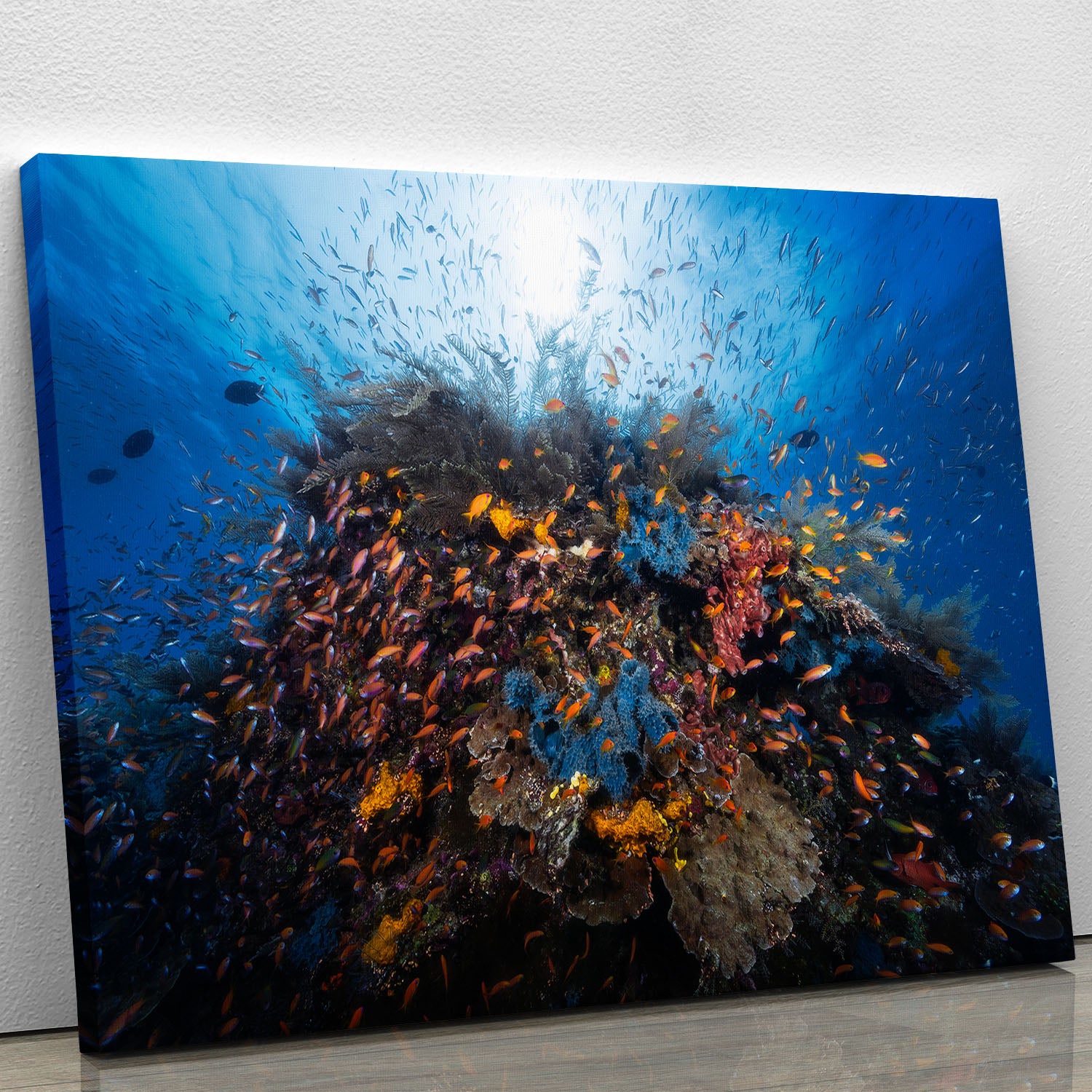 Life Explosion Canvas Print or Poster - Canvas Art Rocks - 1