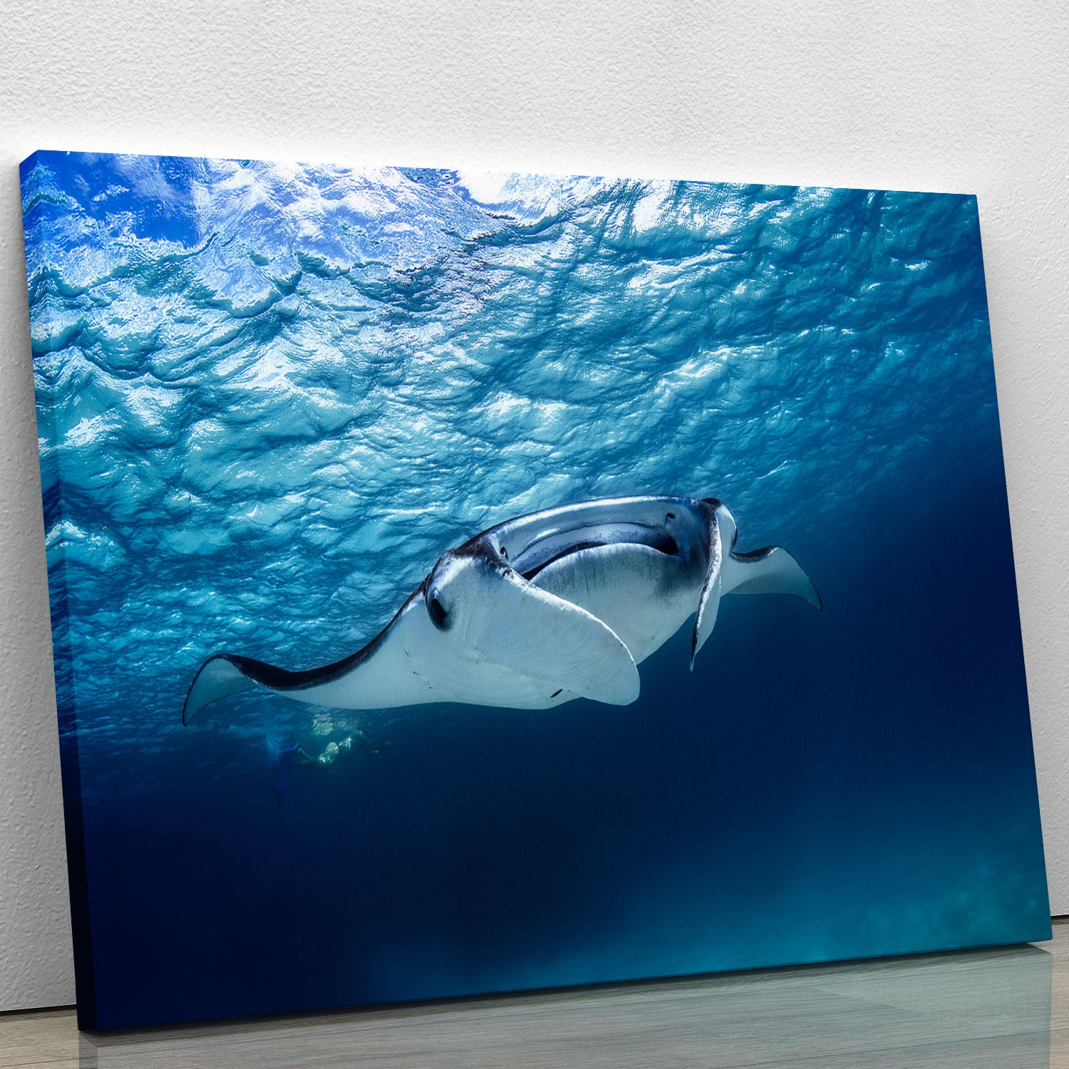 Manta Ray Canvas Print or Poster - Canvas Art Rocks - 1
