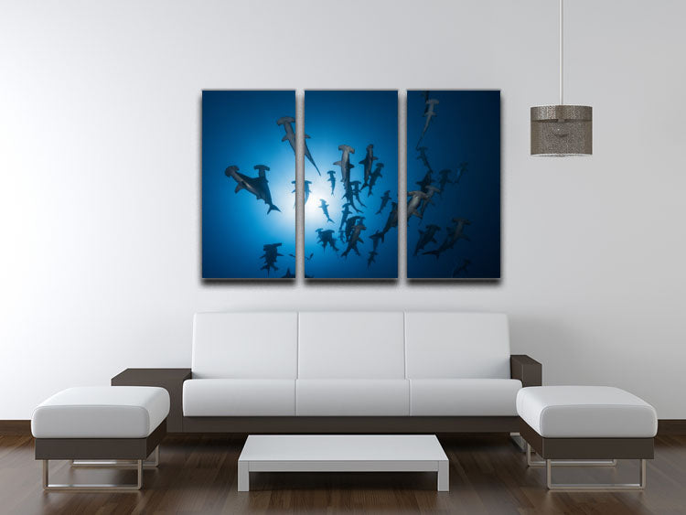 Hammerhead Shark 2 3 Split Panel Canvas Print - Canvas Art Rocks - 3