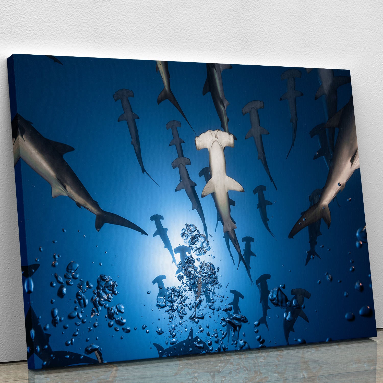 Hammerhead Shark Canvas Print or Poster - Canvas Art Rocks - 1
