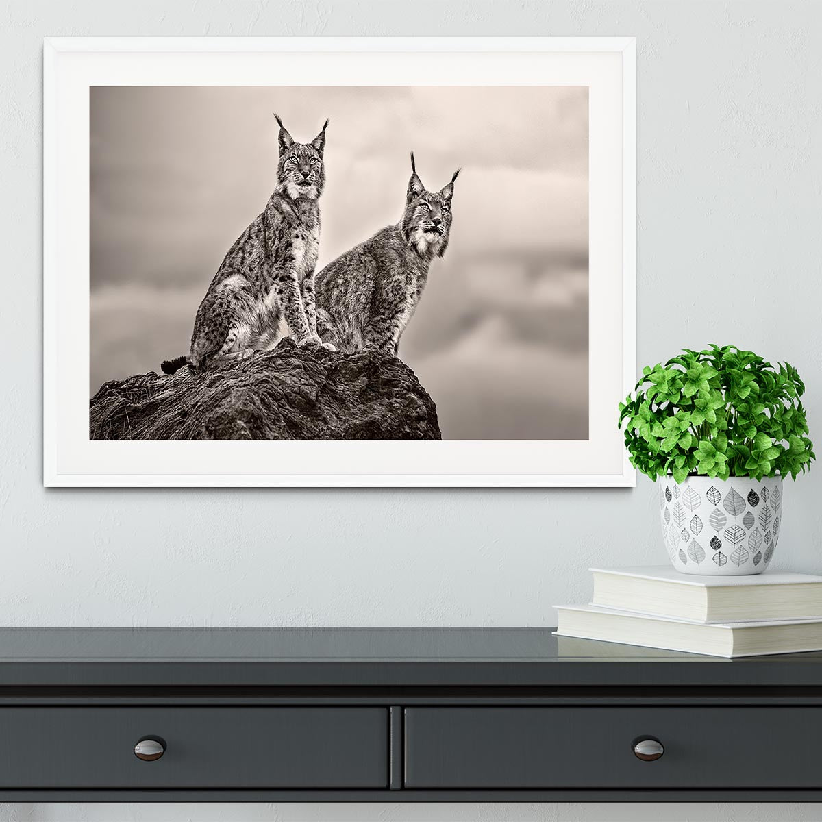 Two Lynx on rock Framed Print - Canvas Art Rocks - 5