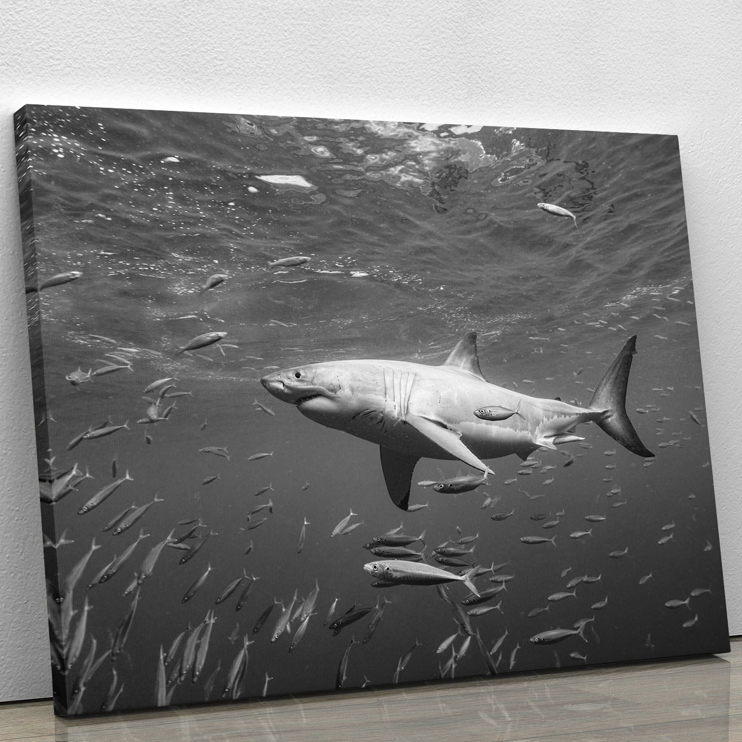 At The Surface Canvas Print or Poster - Canvas Art Rocks - 1