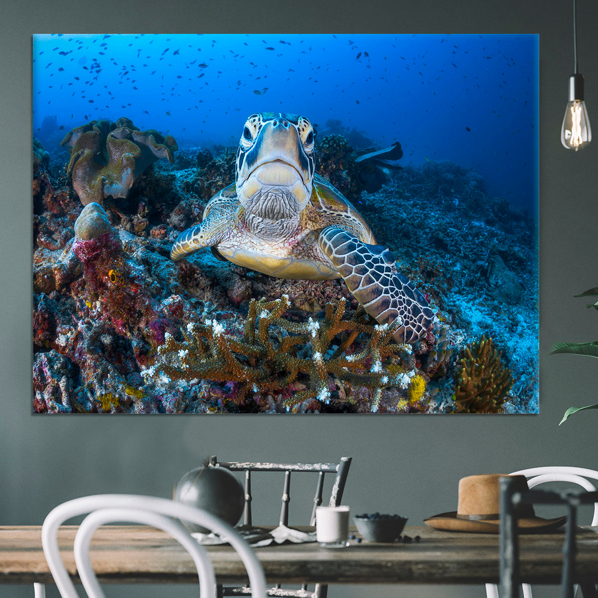 Face To Face With A Green Turtle Canvas Print or Poster - Canvas Art Rocks - 3