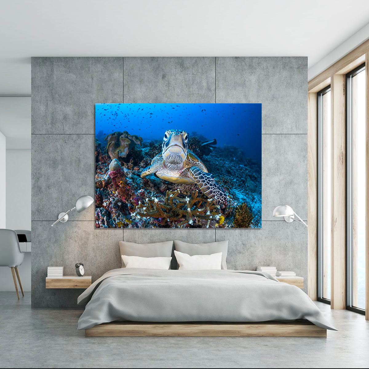 Face To Face With A Green Turtle Canvas Print or Poster - Canvas Art Rocks - 5