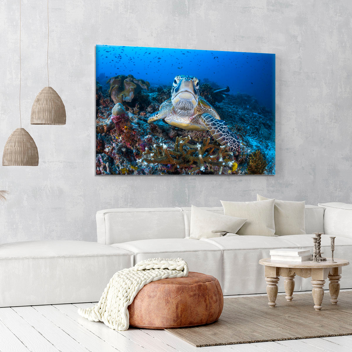 Face To Face With A Green Turtle Canvas Print or Poster - Canvas Art Rocks - 6