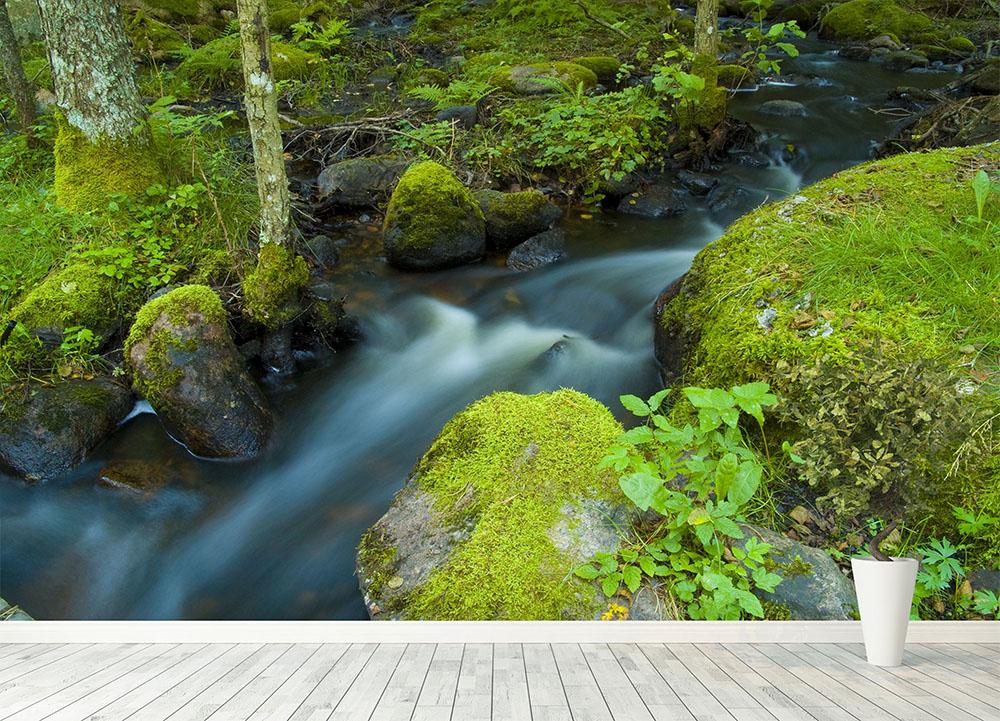 A small Wall Mural Wallpaper - Canvas Art Rocks - 4