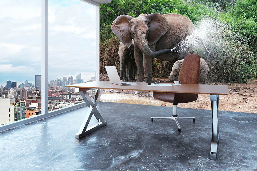 African elephant mother and baby cooling off Wall Mural Wallpaper - Canvas Art Rocks - 3