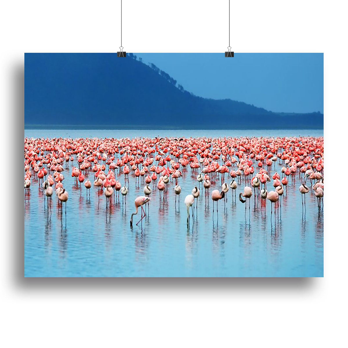 African safari flamingos in the lake Canvas Print or Poster - Canvas Art Rocks - 2