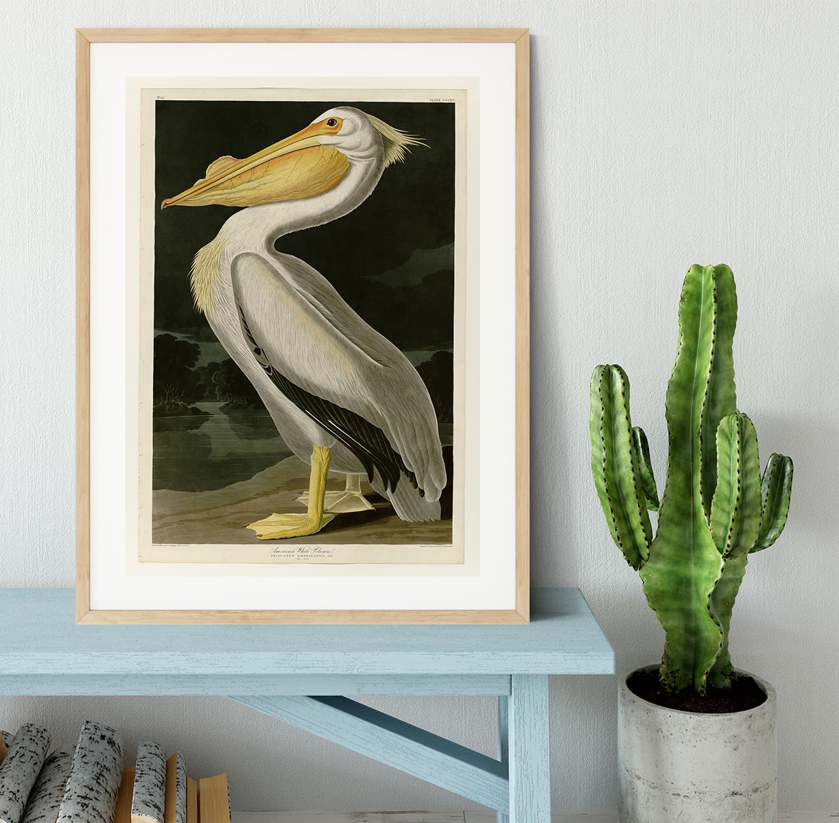 American White Pelican by Audubon Framed Print - Canvas Art Rocks - 3