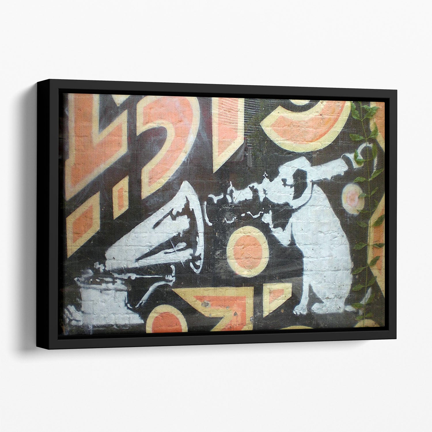 Banksy HMV Dog Floating Framed Canvas