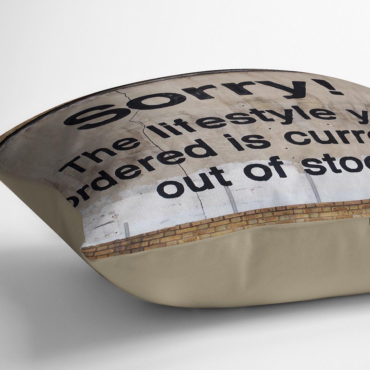 Banksy The Lifestyle You Ordered Cushion