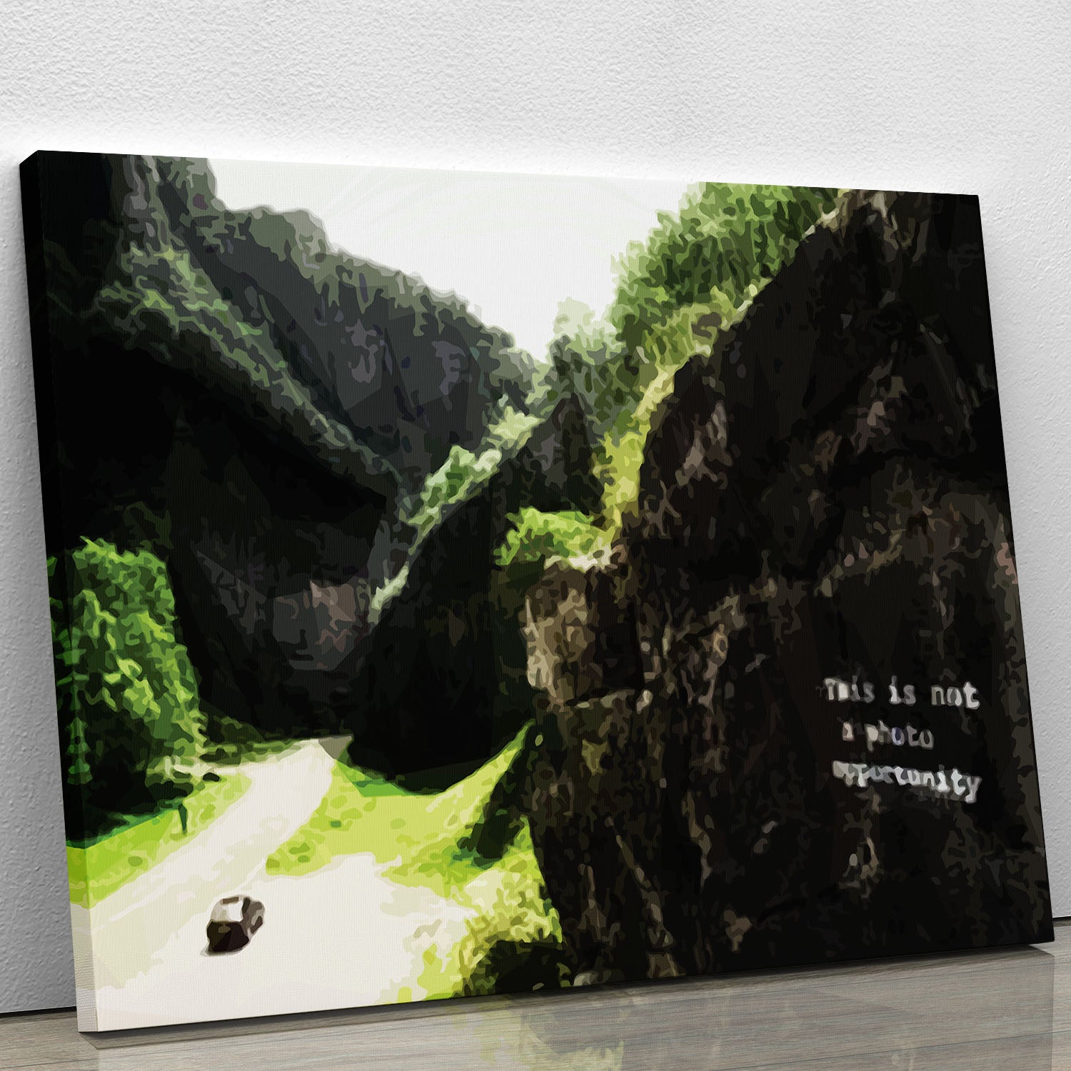 Banksy This is not a Photo Opportunity Cheddar Gorge Somerset Canvas Print or Poster - Canvas Art Rocks - 1
