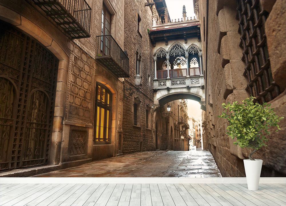 Barcelona Gothic quarter Carrer del Bisbe Wall Mural Wallpaper - Canvas Art Rocks - 4