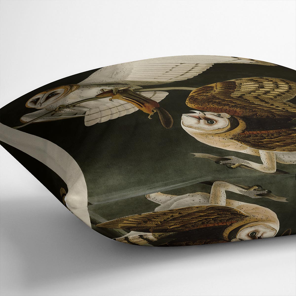 Barn Owl by Audubon Cushion