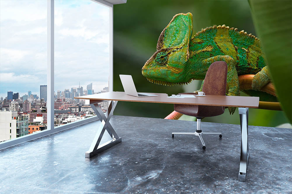 Beaitiful green Jemen chameleon Wall Mural Wallpaper - Canvas Art Rocks - 3