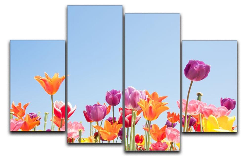Beautiful coloured flowers 4 Split Panel Canvas - Canvas Art Rocks - 1