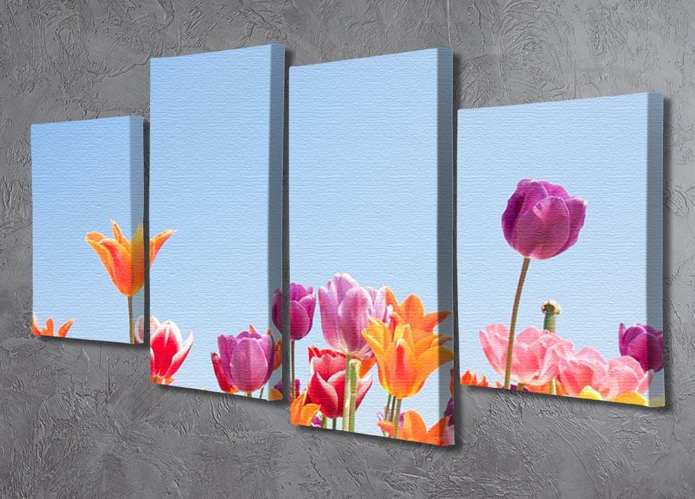 Beautiful coloured flowers 4 Split Panel Canvas - Canvas Art Rocks - 2