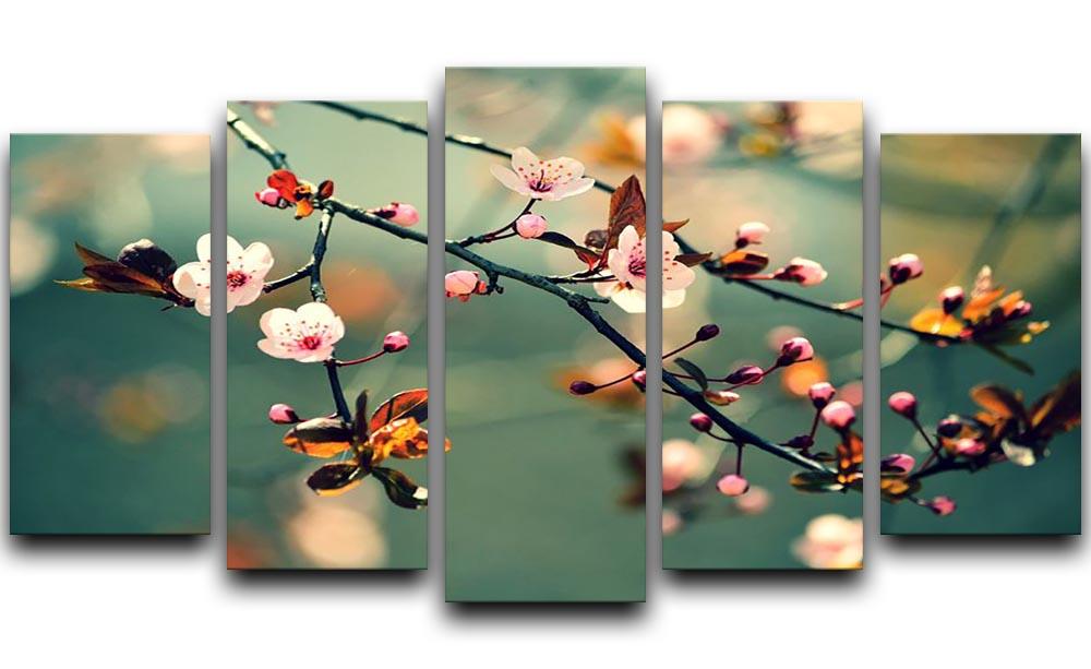 Beautiful flowering Japanese cherry 5 Split Panel Canvas - Canvas Art Rocks - 1