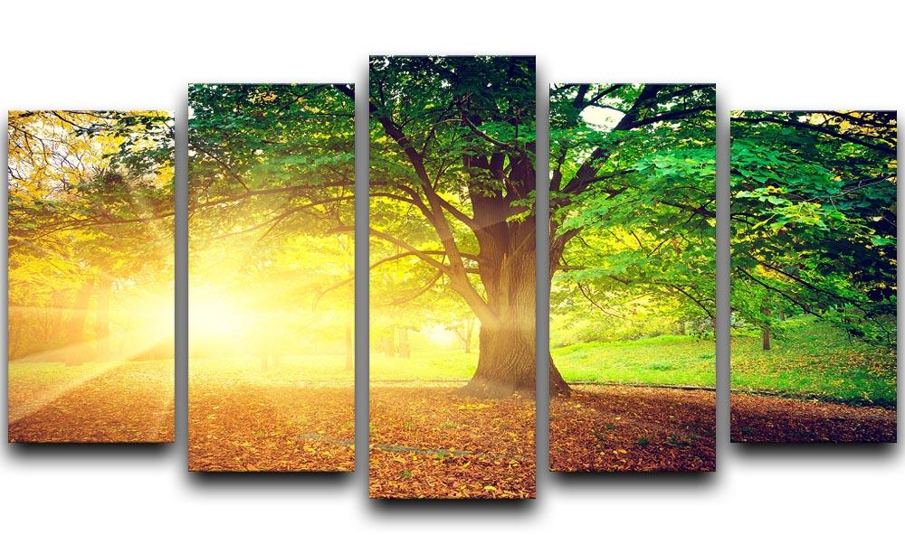 Beautiful park 5 Split Panel Canvas - Canvas Art Rocks - 1
