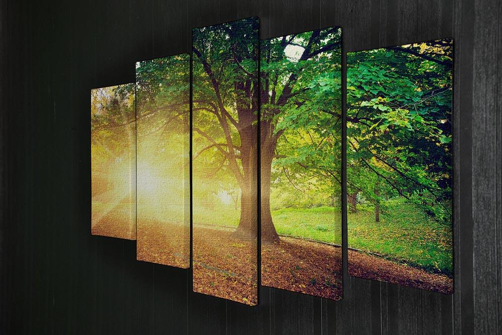 Beautiful park 5 Split Panel Canvas - Canvas Art Rocks - 2