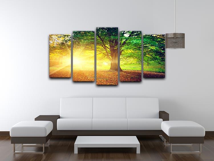 Beautiful park 5 Split Panel Canvas - Canvas Art Rocks - 3