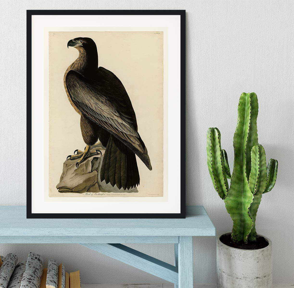 Bird of Washington by Audubon Framed Print - Canvas Art Rocks - 1