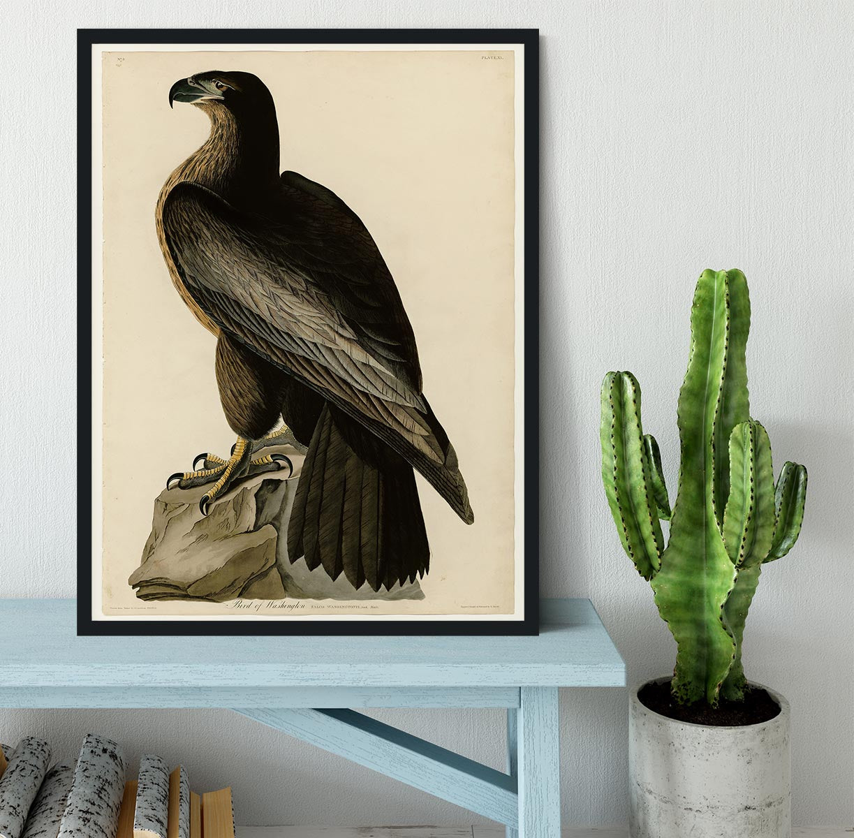 Bird of Washington by Audubon Framed Print - Canvas Art Rocks - 2