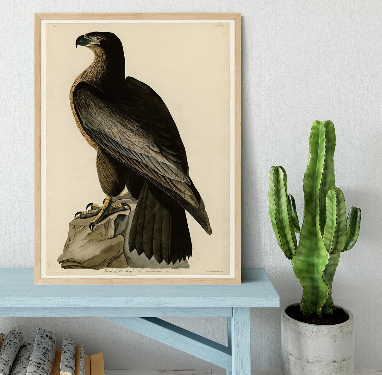 Bird of Washington by Audubon Framed Print - Canvas Art Rocks - 4