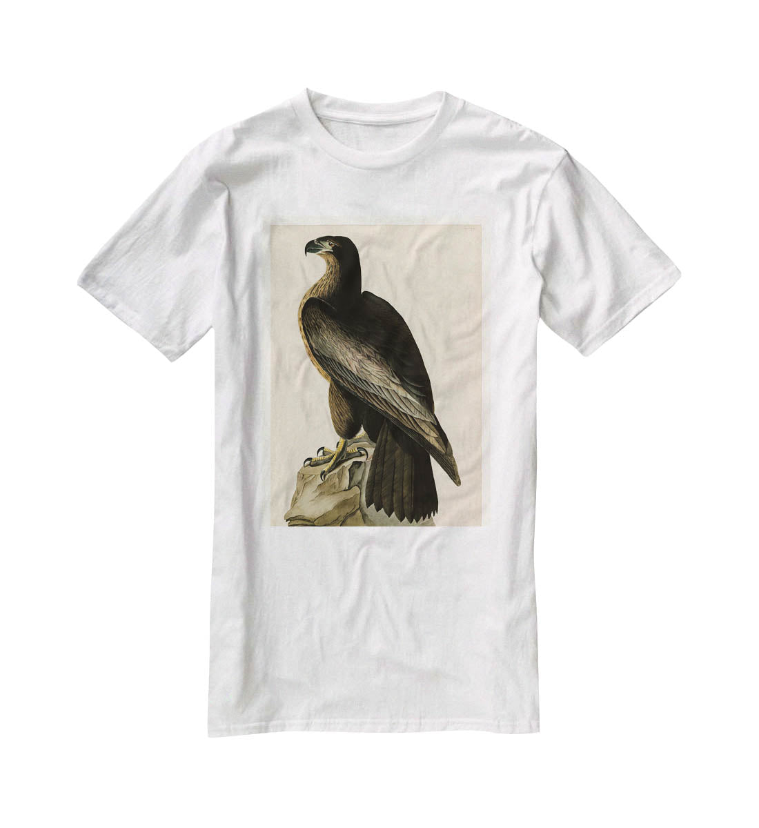 Bird of Washington by Audubon T-Shirt - Canvas Art Rocks - 5
