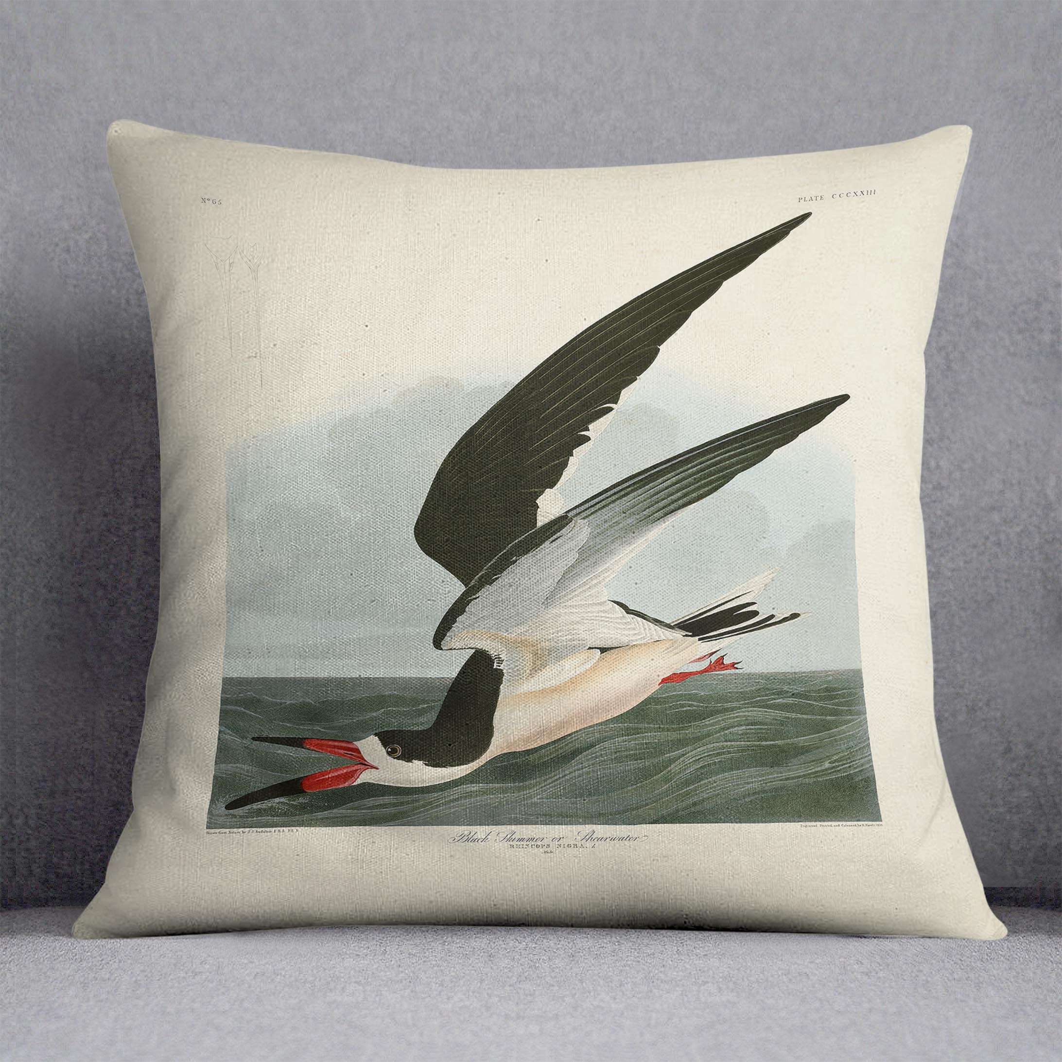 Black Skimmer by Audubon Cushion