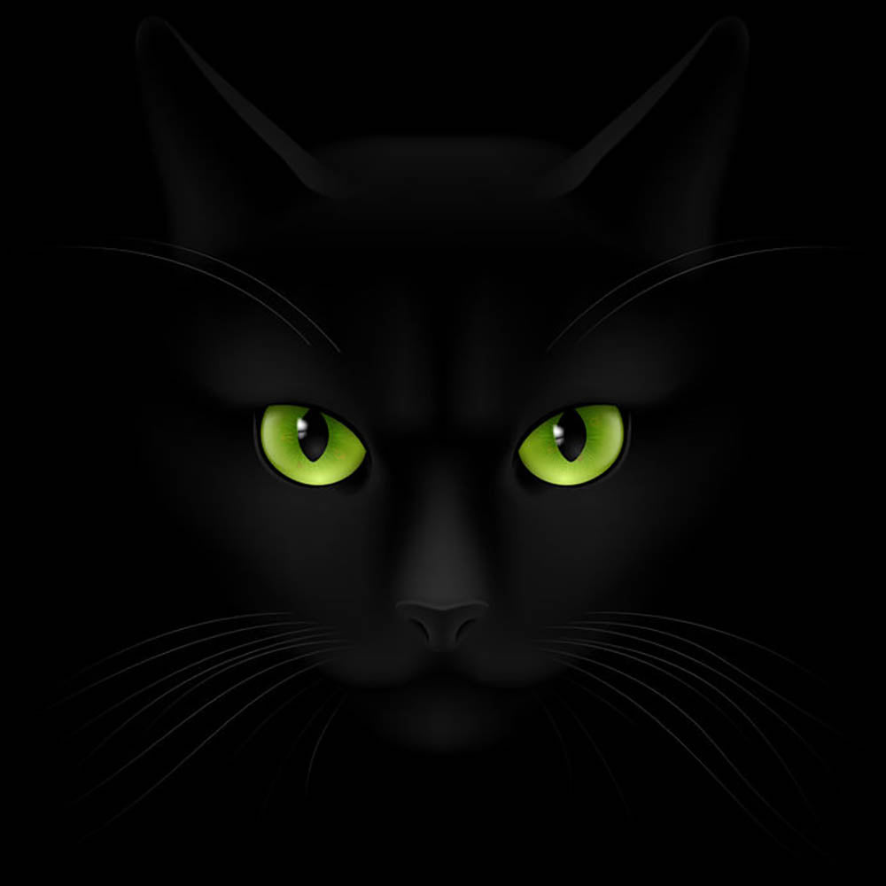 Black cat with green eyes Wall Mural Wallpaper - Canvas Art Rocks - 1