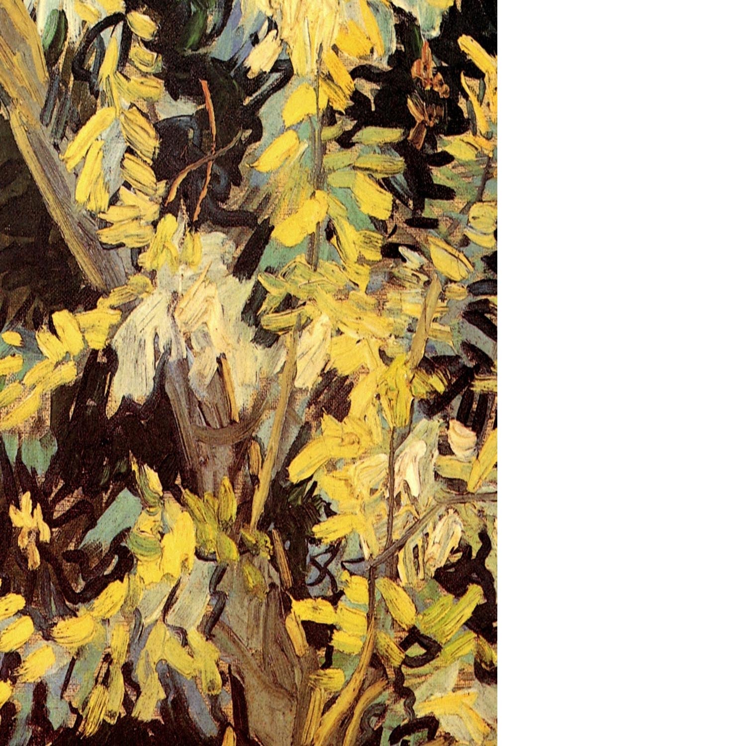Blossoming Acacia Branches by Van Gogh Floating Framed Canvas
