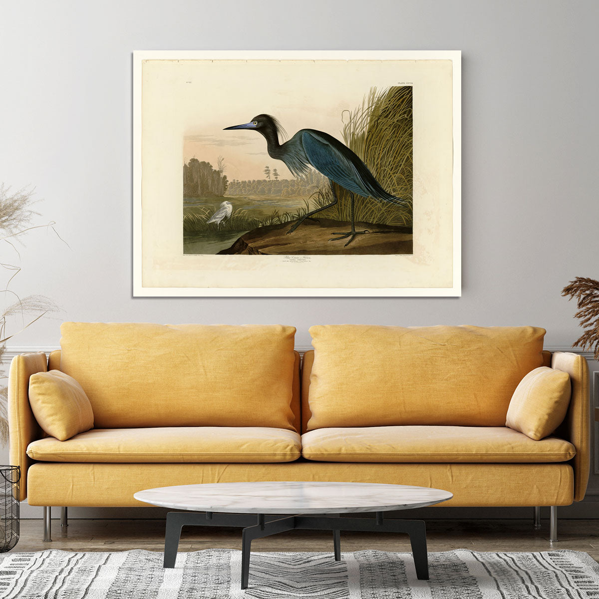 Blue Crane by Audubon Canvas Print or Poster - Canvas Art Rocks - 4